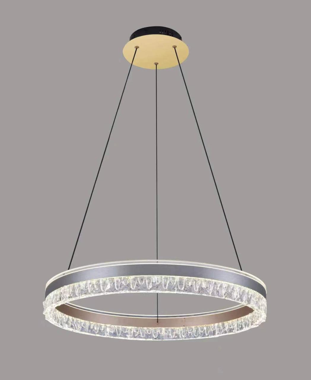 Ring Pendant Light Ceiling Light with Remote