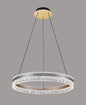 Ring Pendant Light Ceiling Light with Remote